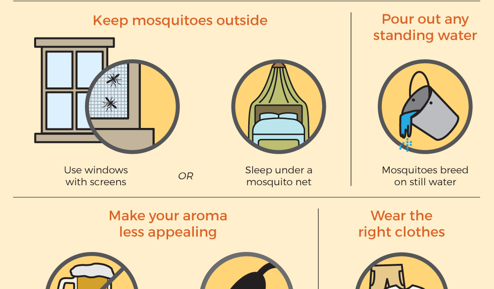 best protection against mosquitoes